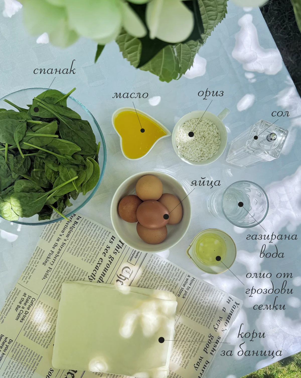 banitsa-s-spanak-produkti